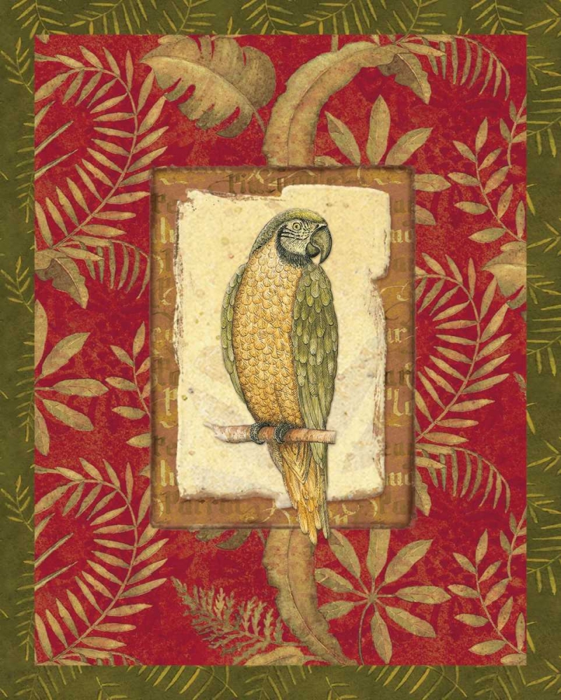 Exotica Parrot art print by Charlene Audrey for $57.95 CAD