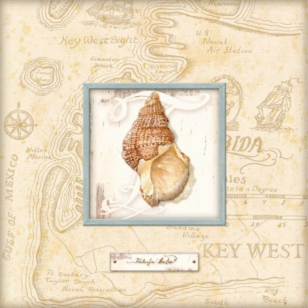 Sea Treasure I art print by Charlene Audrey for $57.95 CAD