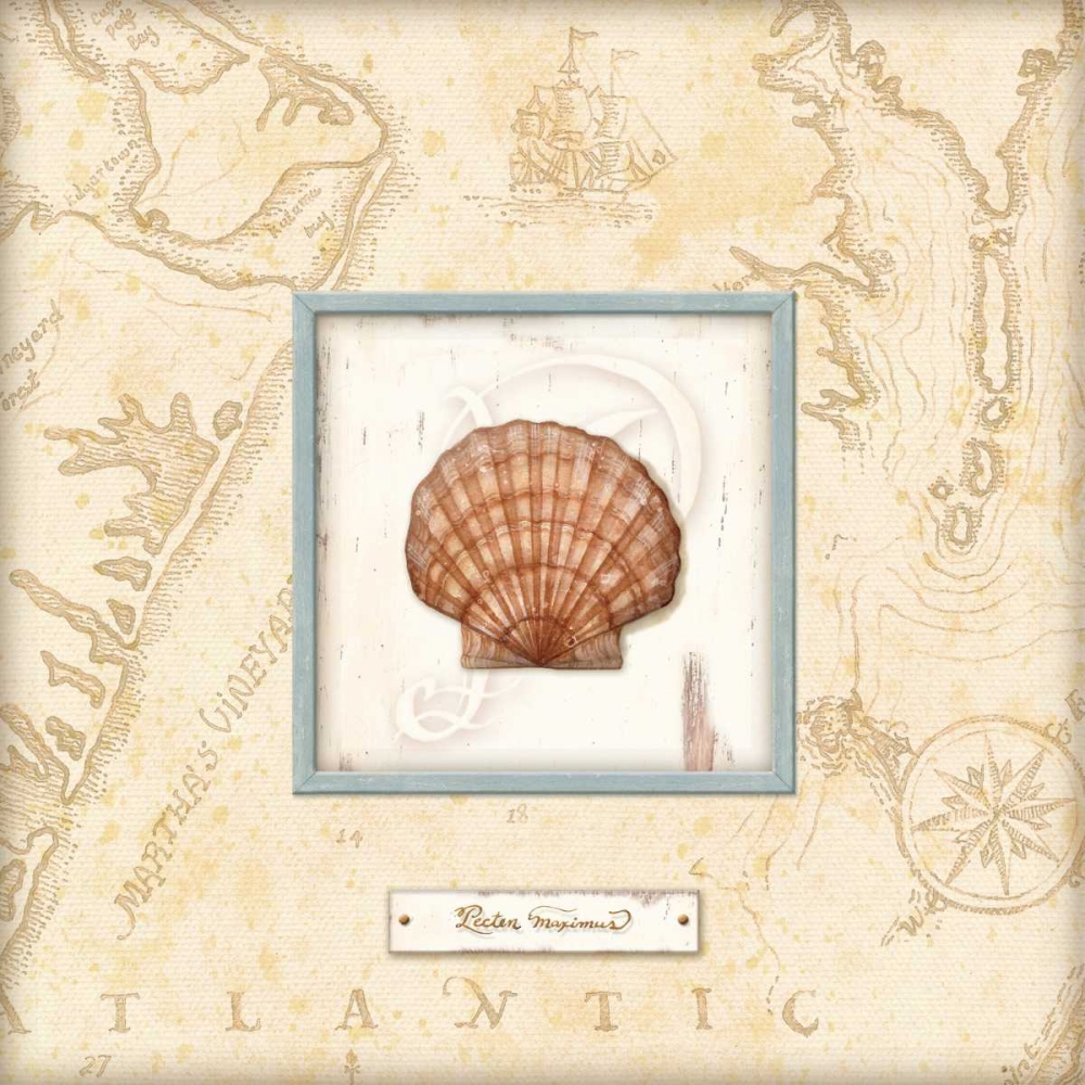 Sea Treasure II art print by Charlene Audrey for $57.95 CAD