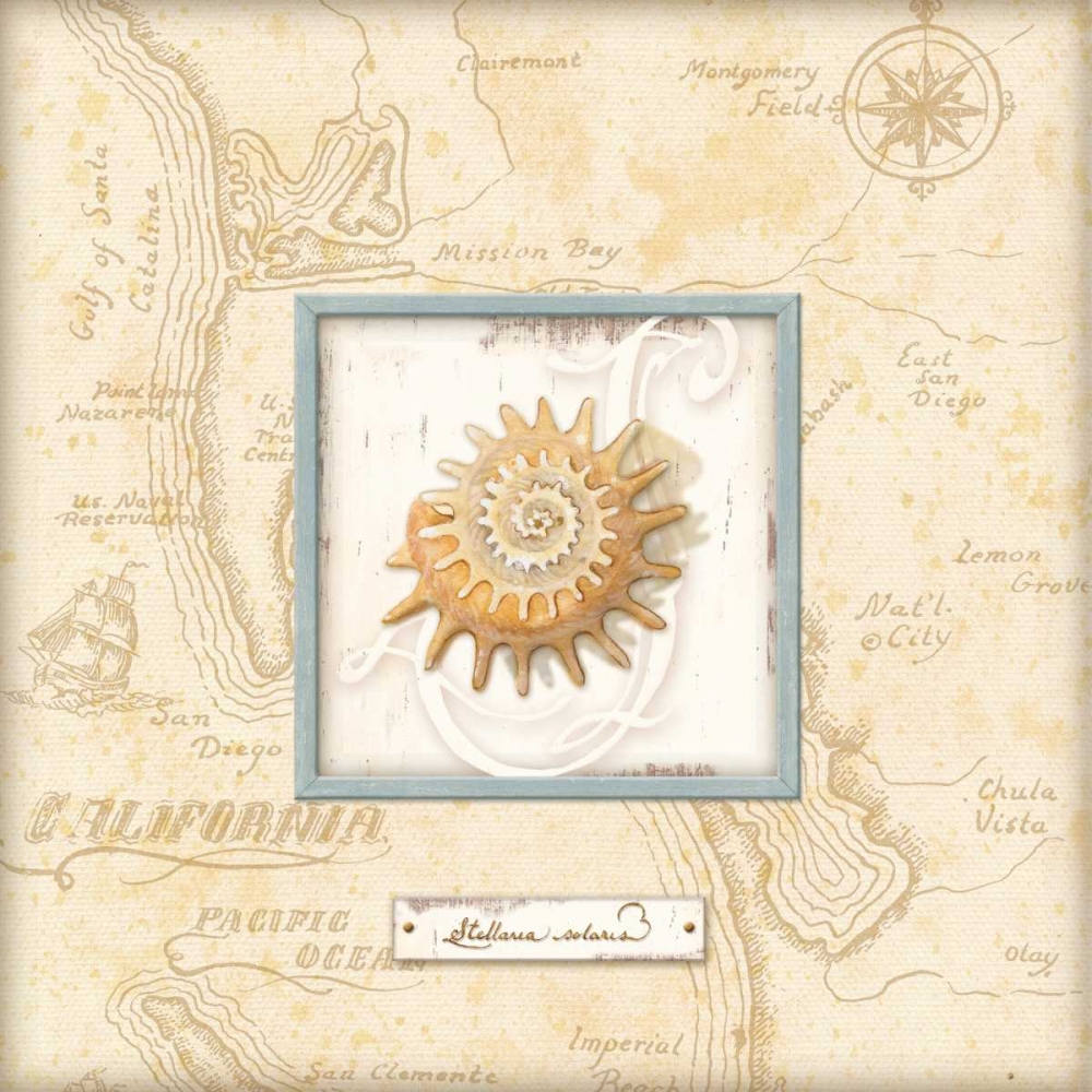 Sea Treasure III art print by Charlene Audrey for $57.95 CAD