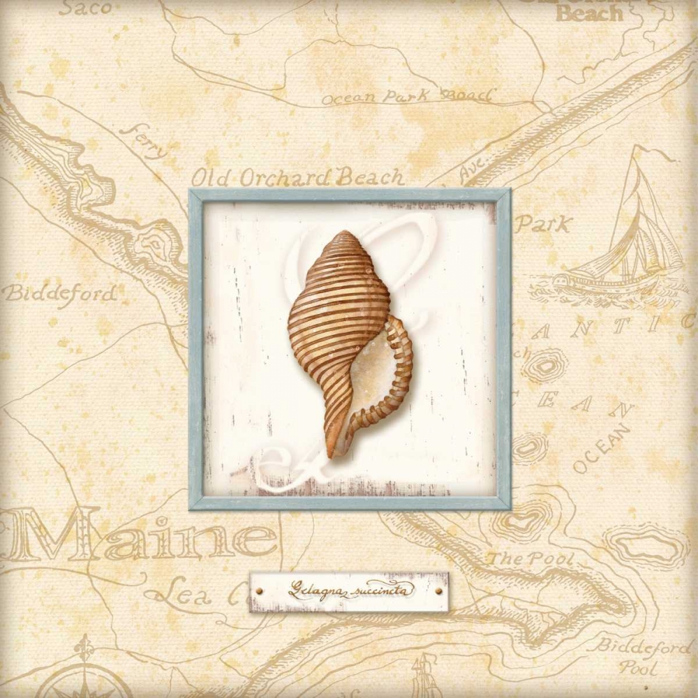 Sea Treasure IV art print by Charlene Audrey for $57.95 CAD