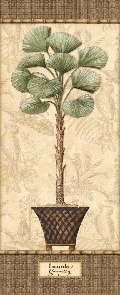 Botanical Palm I art print by Charlene Audrey for $57.95 CAD