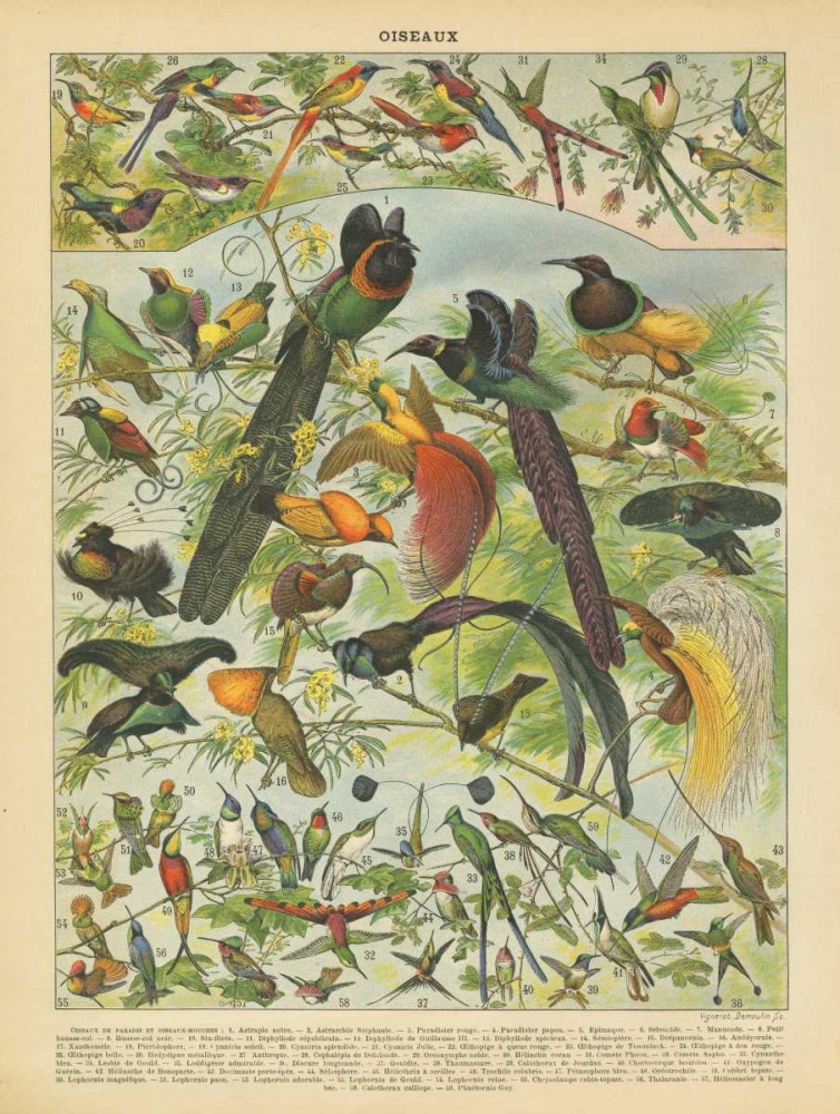 Oiseaux III art print by Gwendolyn Babbitt for $57.95 CAD