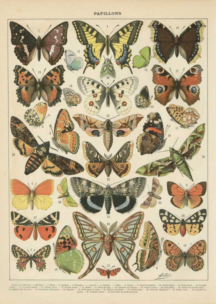 Papillons I art print by Gwendolyn Babbitt for $57.95 CAD