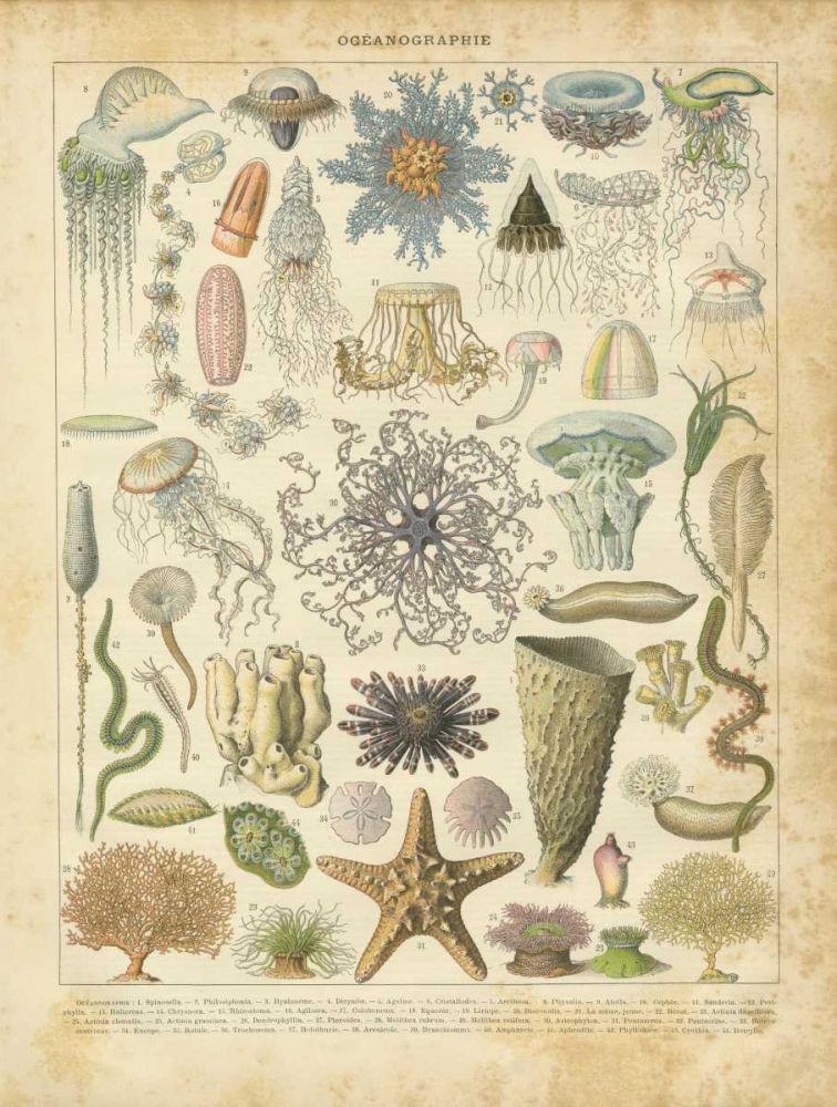 Oceanographie art print by Gwendolyn Babbitt for $57.95 CAD