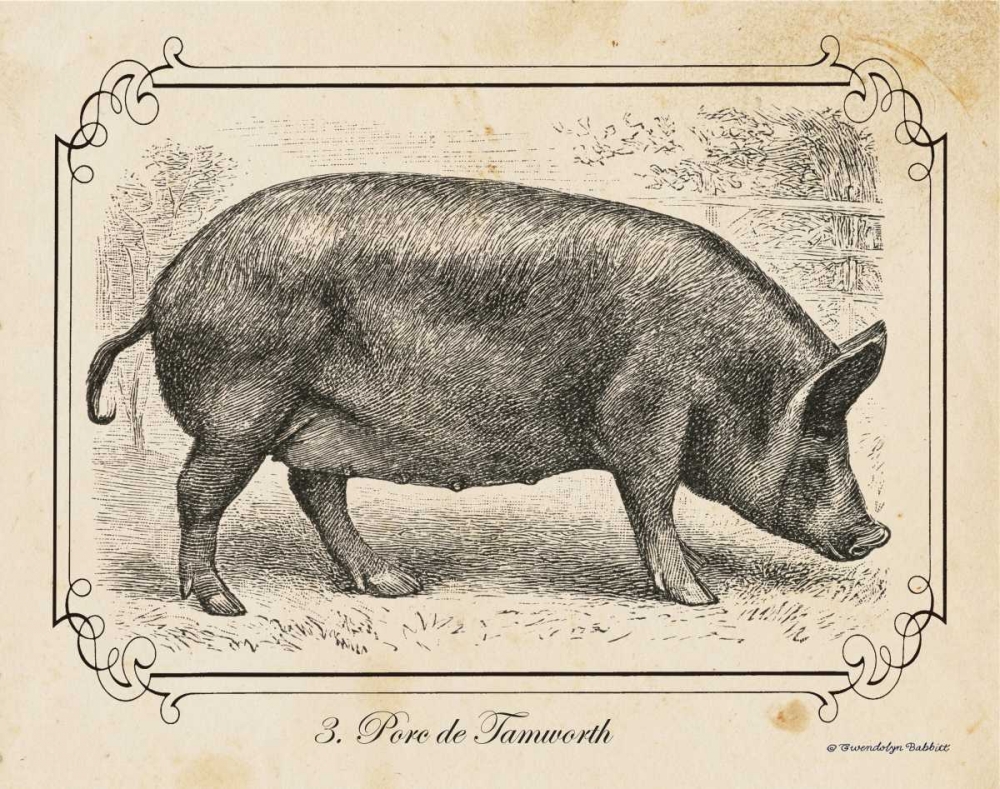 Farm Pig I art print by Gwendolyn Babbitt for $57.95 CAD