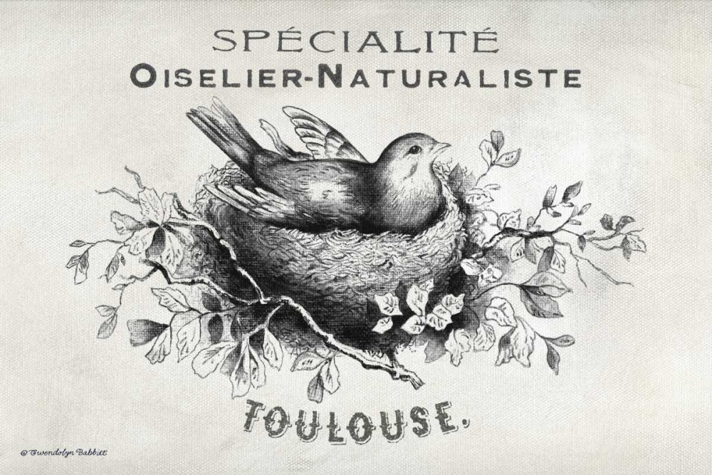 French Bird Nest I art print by Gwendolyn Babbitt for $57.95 CAD
