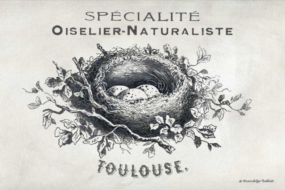 French Bird Nest II art print by Gwendolyn Babbitt for $57.95 CAD
