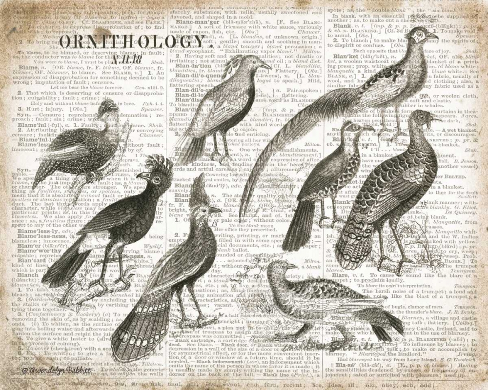 Birds I art print by Gwendolyn Babbitt for $57.95 CAD