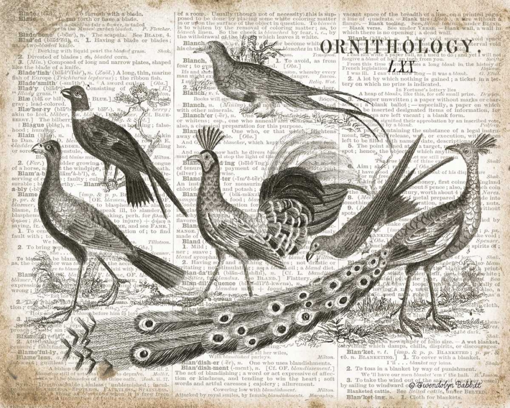 Birds II art print by Gwendolyn Babbitt for $57.95 CAD