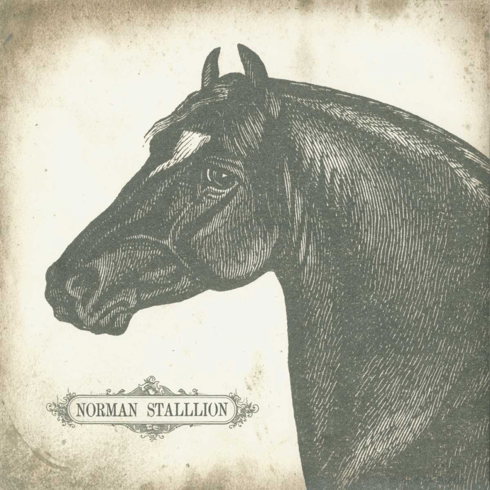 Norman Stallion art print by Gwendolyn Babbitt for $57.95 CAD