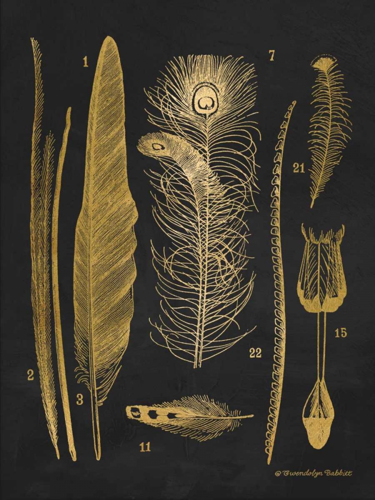 Gold Feathers I art print by Gwendolyn Babbitt for $57.95 CAD