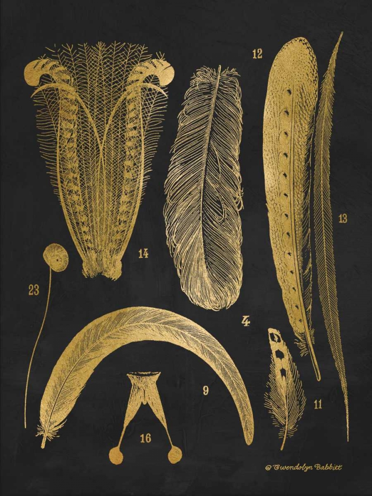 Gold Feathers II art print by Gwendolyn Babbitt for $57.95 CAD