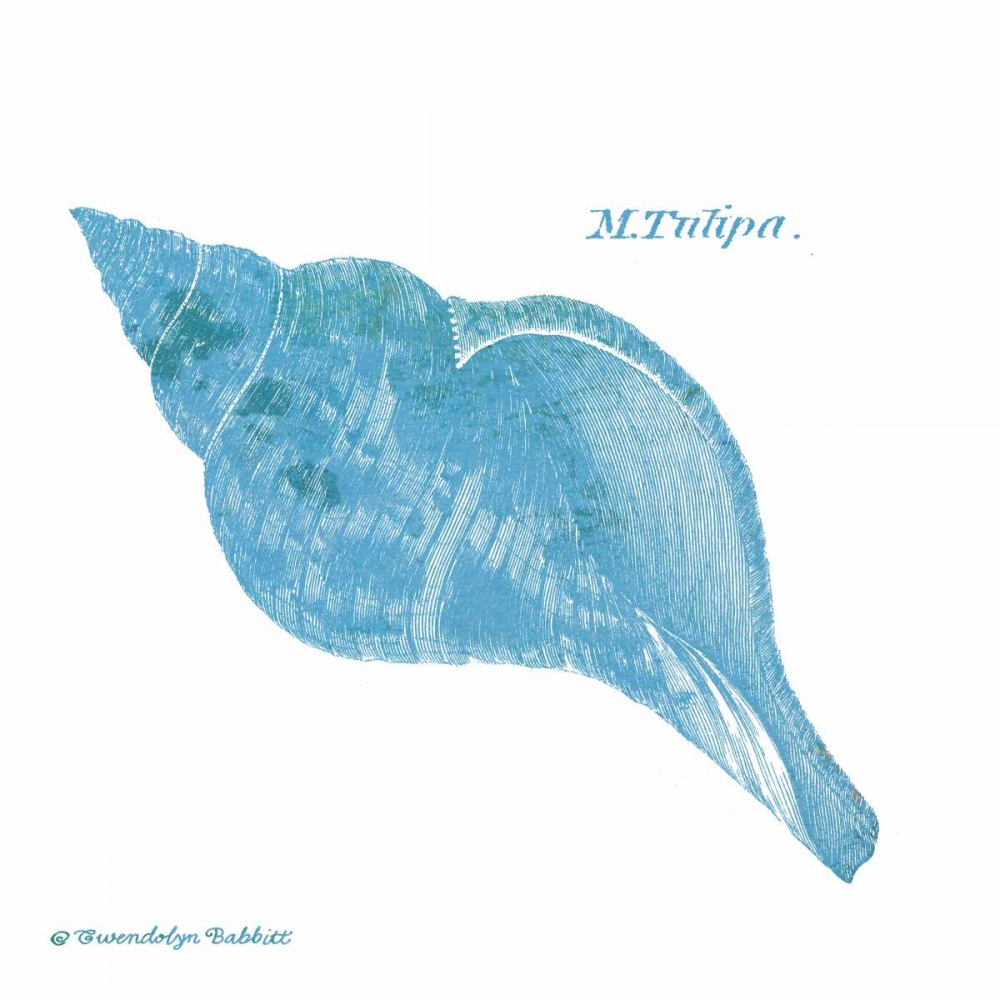 Shell on White II art print by Gwendolyn Babbitt for $57.95 CAD