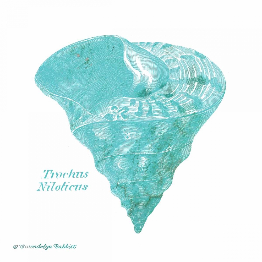 Shell on White III art print by Gwendolyn Babbitt for $57.95 CAD
