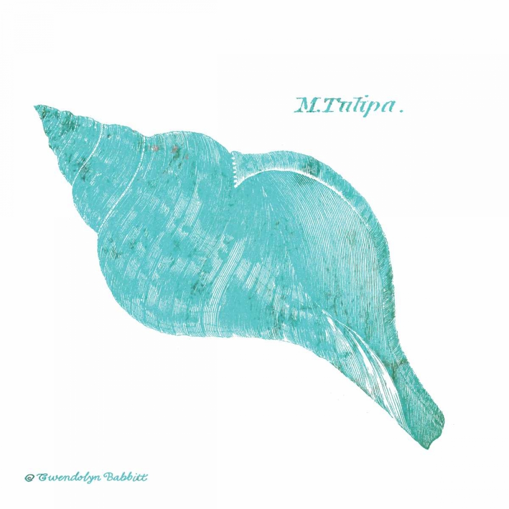 Shell on White V art print by Gwendolyn Babbitt for $57.95 CAD