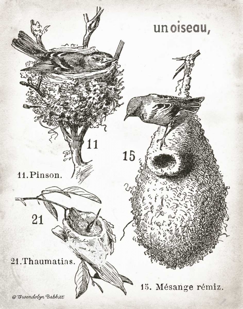 French Birdnests art print by Gwendolyn Babbitt for $57.95 CAD