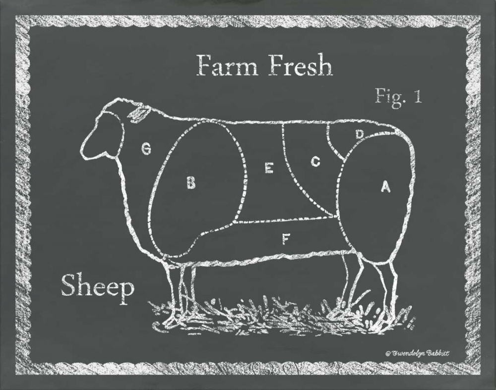 Sectioned Sheep art print by Gwendolyn Babbitt for $57.95 CAD