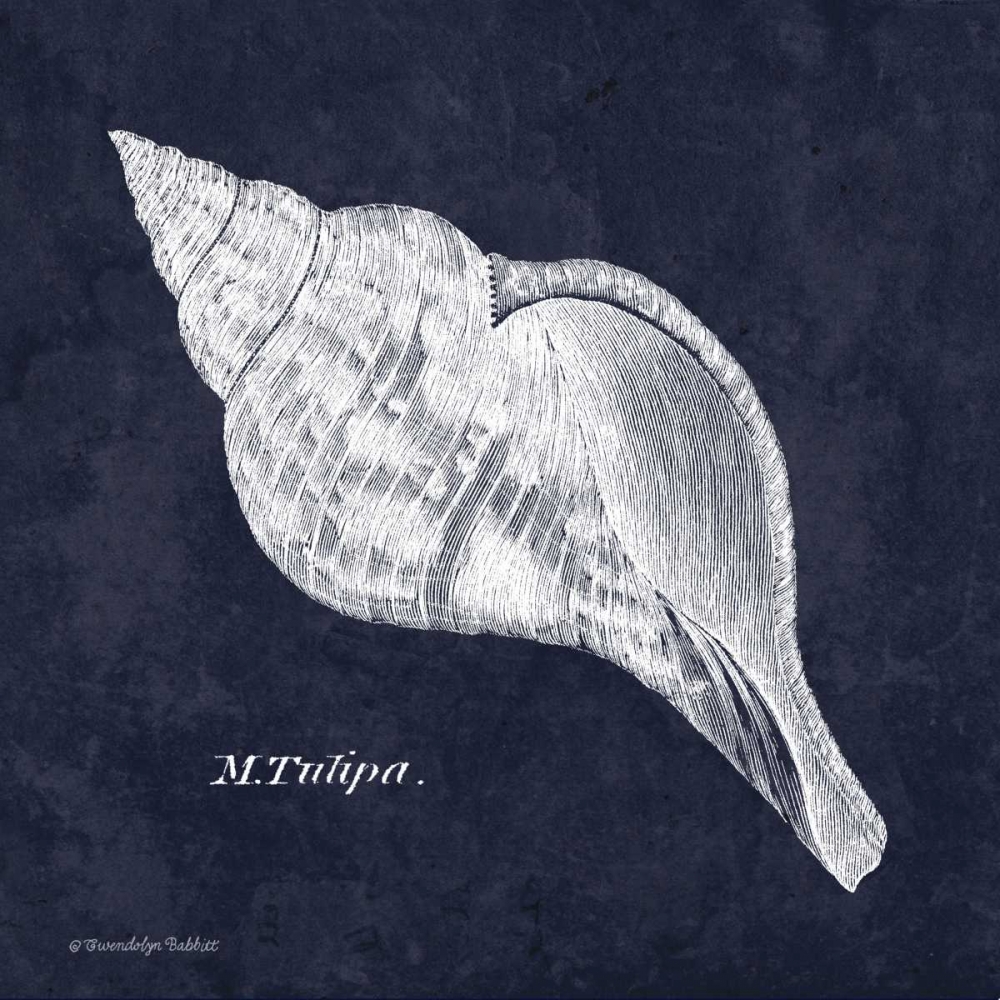 Indigo Shell III art print by Gwendolyn Babbitt for $57.95 CAD