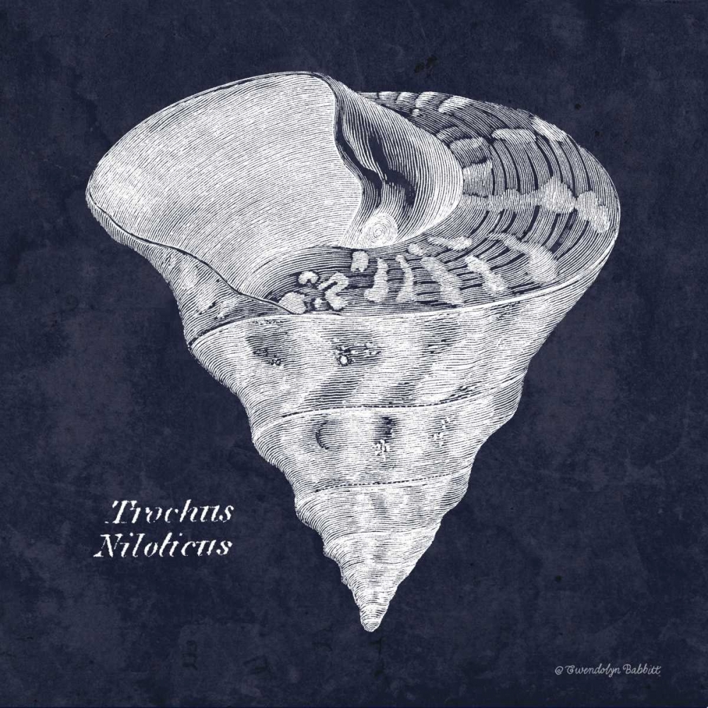 Indigo Shell IV art print by Gwendolyn Babbitt for $57.95 CAD