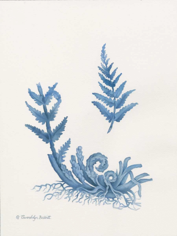 Indigo Fern I art print by Gwendolyn Babbitt for $57.95 CAD