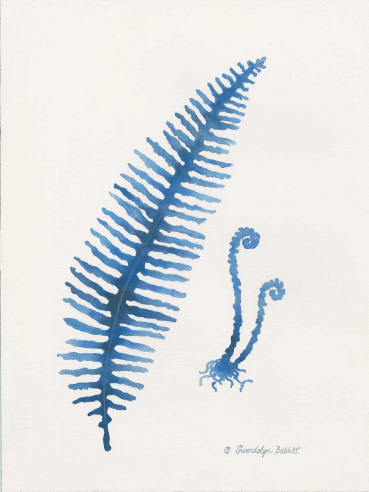 Indigo Fern II art print by Gwendolyn Babbitt for $57.95 CAD