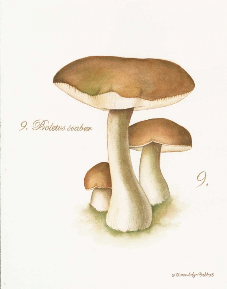 Mushroom II art print by Gwendolyn Babbitt for $57.95 CAD