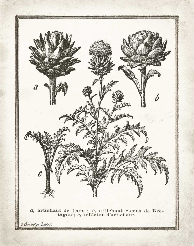 French Artichokes art print by Gwendolyn Babbitt for $57.95 CAD