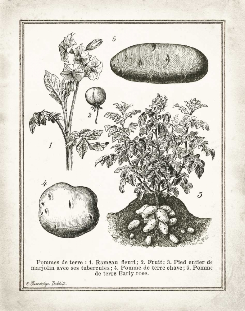 French Potatoes art print by Gwendolyn Babbitt for $57.95 CAD