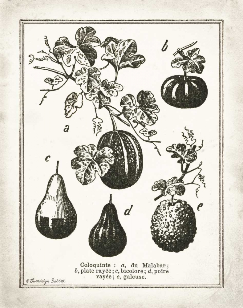 French Gourds art print by Gwendolyn Babbitt for $57.95 CAD