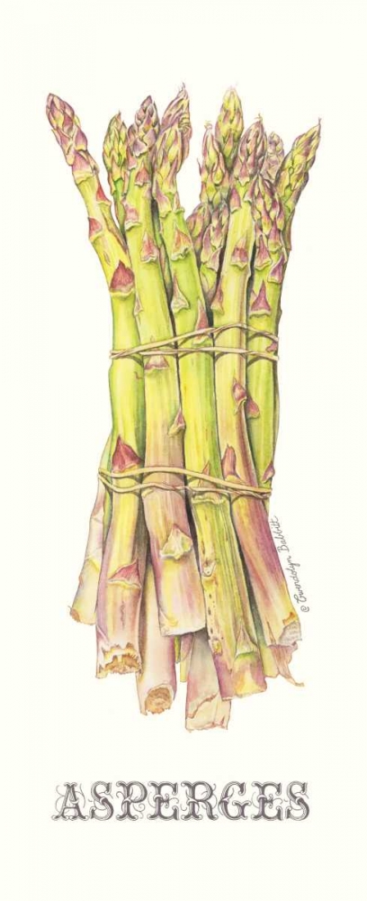 Asperges art print by Gwendolyn Babbitt for $57.95 CAD