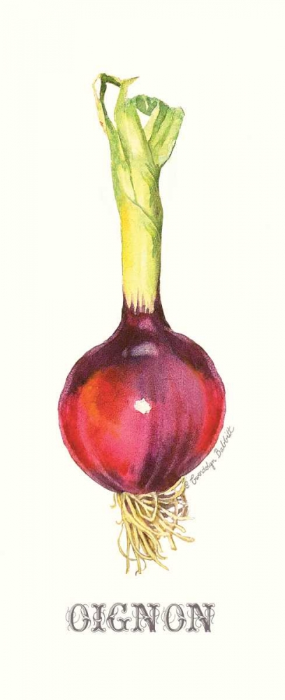 Oignon art print by Gwendolyn Babbitt for $57.95 CAD