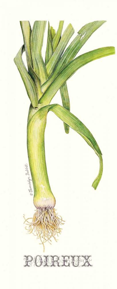 Poireux art print by Gwendolyn Babbitt for $57.95 CAD