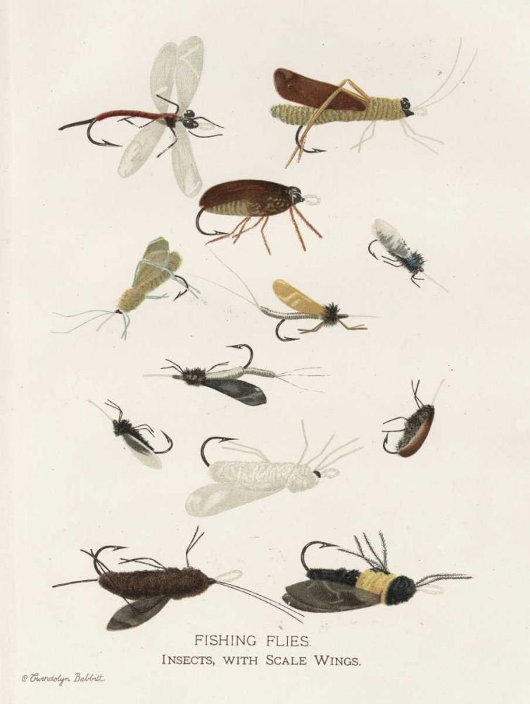Fishing Flies I art print by Gwendolyn Babbitt for $57.95 CAD