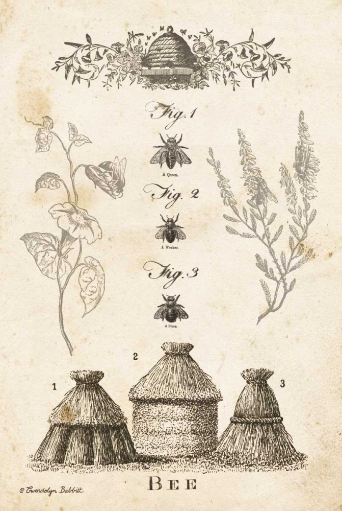 Bee Chart II art print by Gwendolyn Babbitt for $57.95 CAD