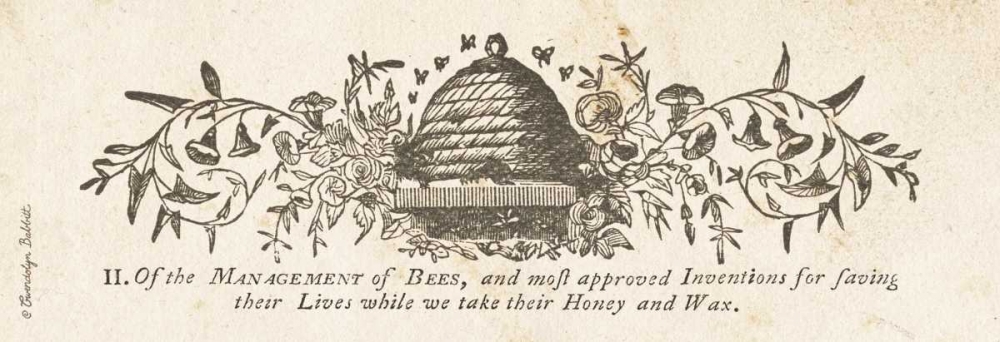 Bee Hive Panel art print by Gwendolyn Babbitt for $57.95 CAD