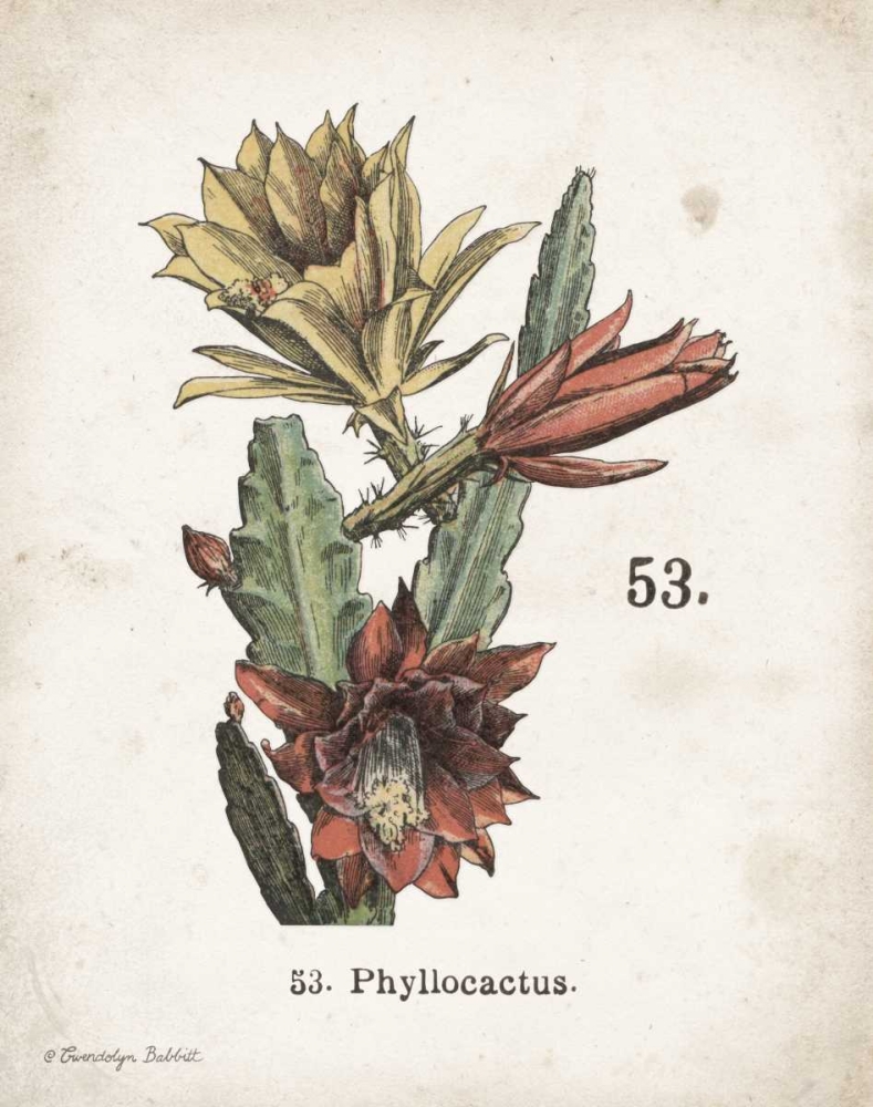 Cacti I art print by Gwendolyn Babbitt for $57.95 CAD