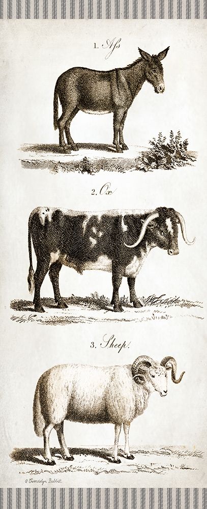 Burro, Cow, Sheep art print by Gwendolyn Babbitt for $57.95 CAD