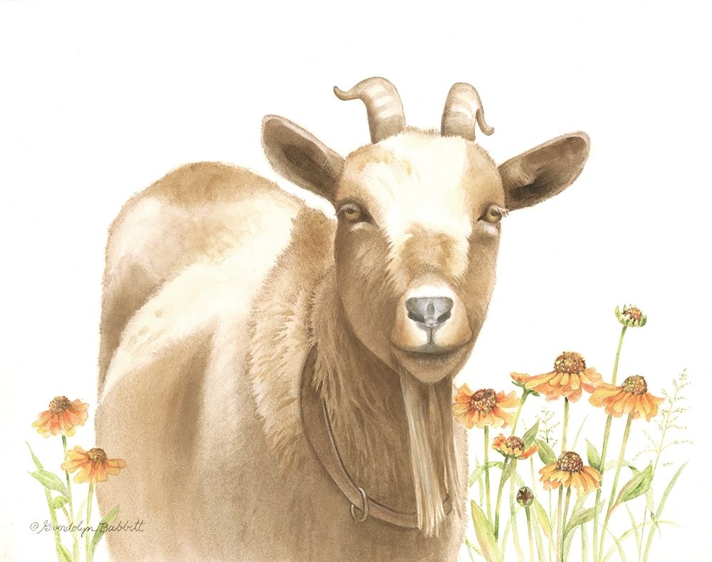 Daisy Goat art print by Gwendolyn Babbitt for $57.95 CAD