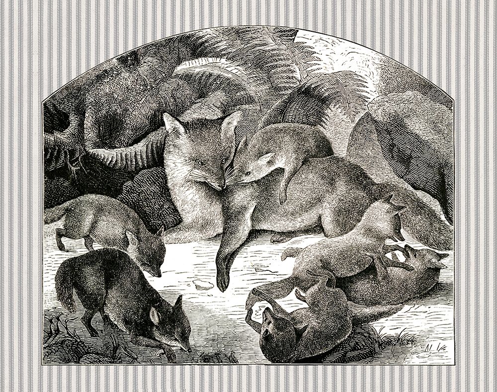 Fox Mom and Cubs art print by Gwendolyn Babbitt for $57.95 CAD