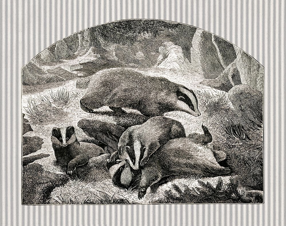 Badger Mom and Cubs art print by Gwendolyn Babbitt for $57.95 CAD
