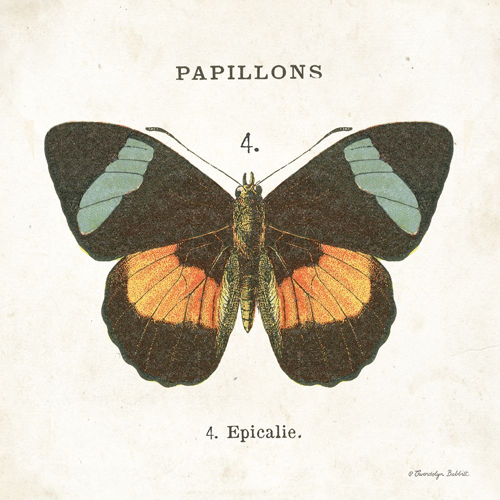 Butterfly IV art print by Gwendolyn Babbitt for $57.95 CAD