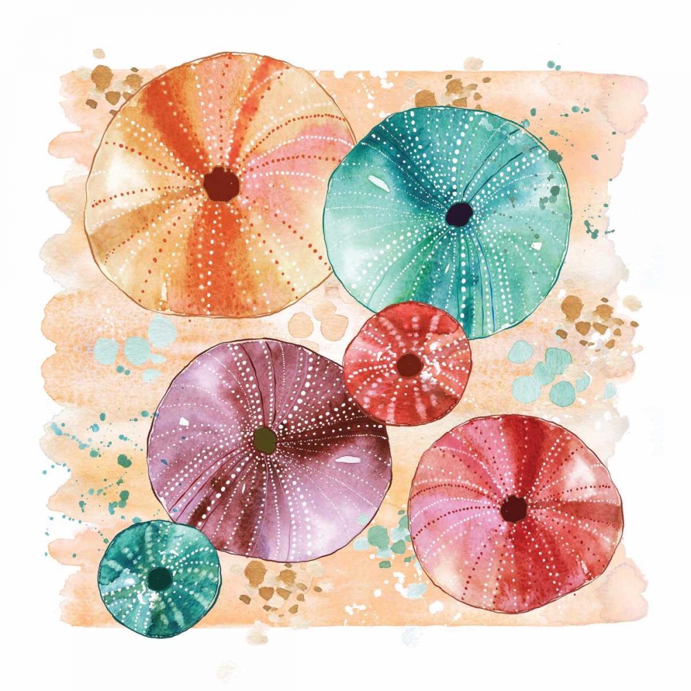 Beachcomber Sea Urchins art print by Sara Berrenson for $57.95 CAD