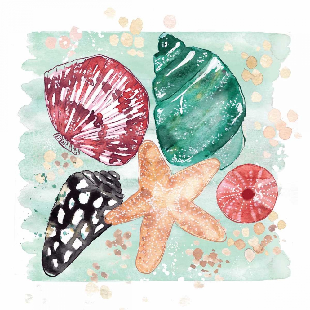 Beachcomber Shells art print by Sara Berrenson for $57.95 CAD