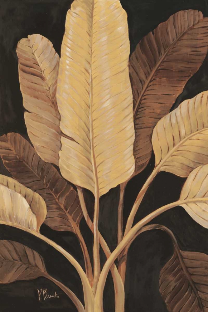 Traveller Palm art print by Paul Brent for $57.95 CAD