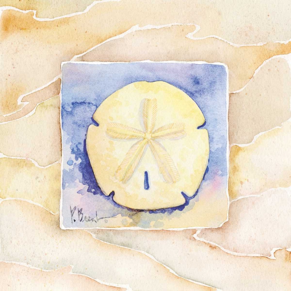 Sand dollar art print by Paul Brent for $57.95 CAD