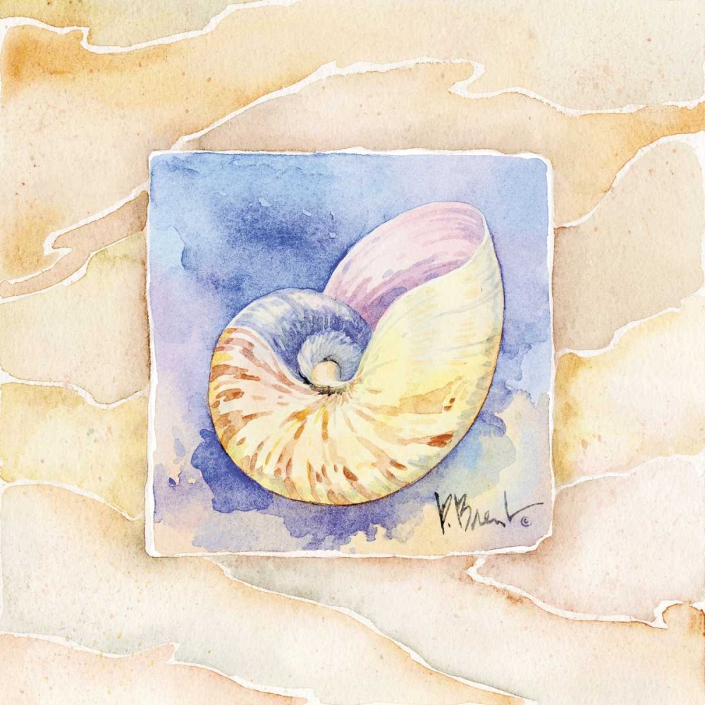 Nautilus art print by Paul Brent for $57.95 CAD