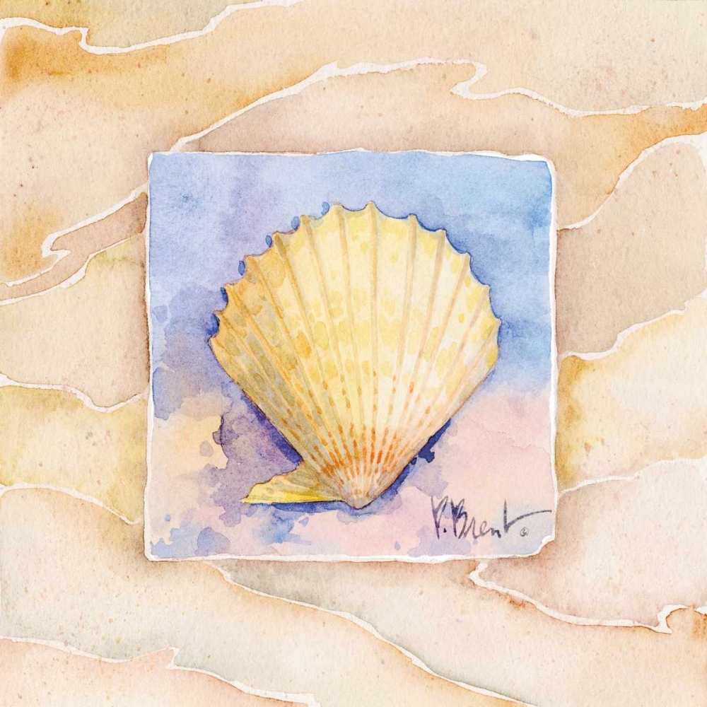 Scallop art print by Paul Brent for $57.95 CAD
