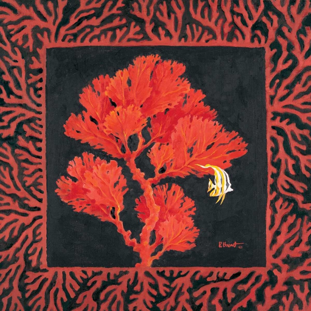 Sea Fan II art print by Paul Brent for $57.95 CAD