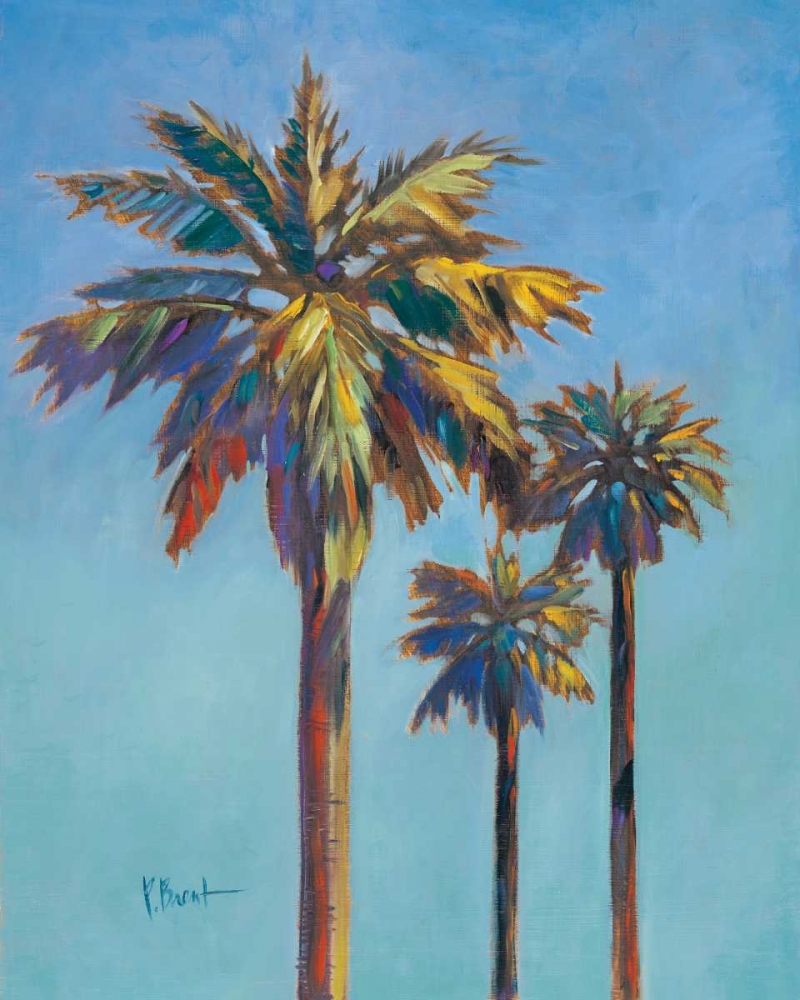 Santa Rita Palms I art print by Paul Brent for $57.95 CAD